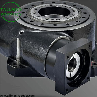 ལྗིད་ཅན་གྱི་འགན་འཁྲི་ཁོག་སྟོང་འཁོར་སྐྱོད་སྟེགས་བུ།